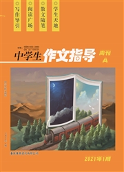 中学生作文指导